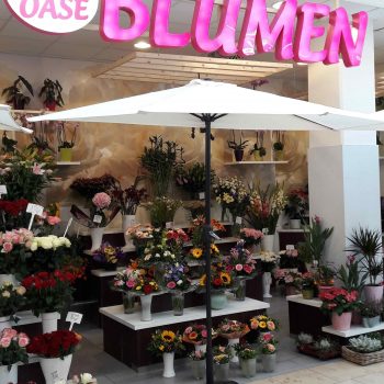 Blumen Oase Arsenal Wittenberg Blumen Oase Arsenal Wittenberg